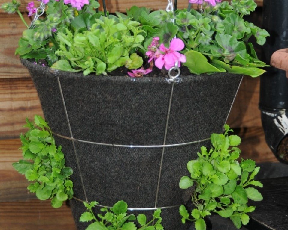DIY flower basket