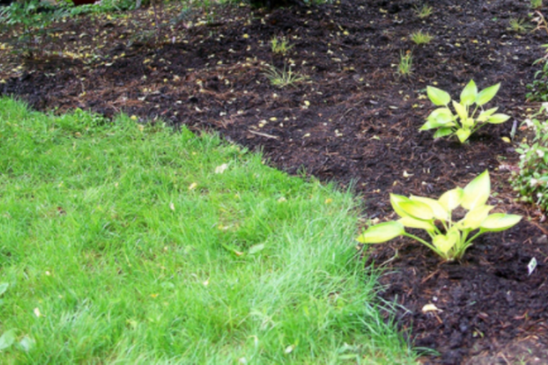 Tips for Low Maintenance Gardening: Cheap for Smaller Spaces